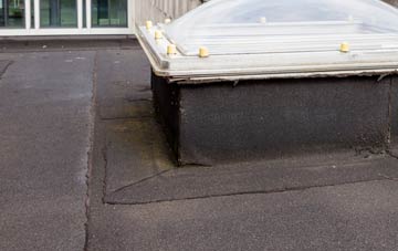 disadvantages of Radyr flat roofs