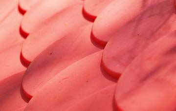 Radyr plastic roof costs